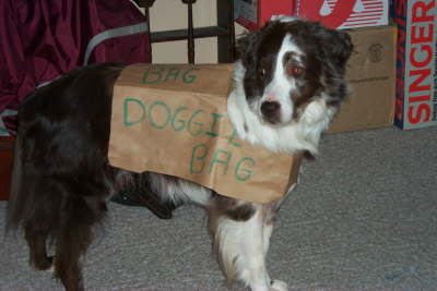 Doggie Bag!